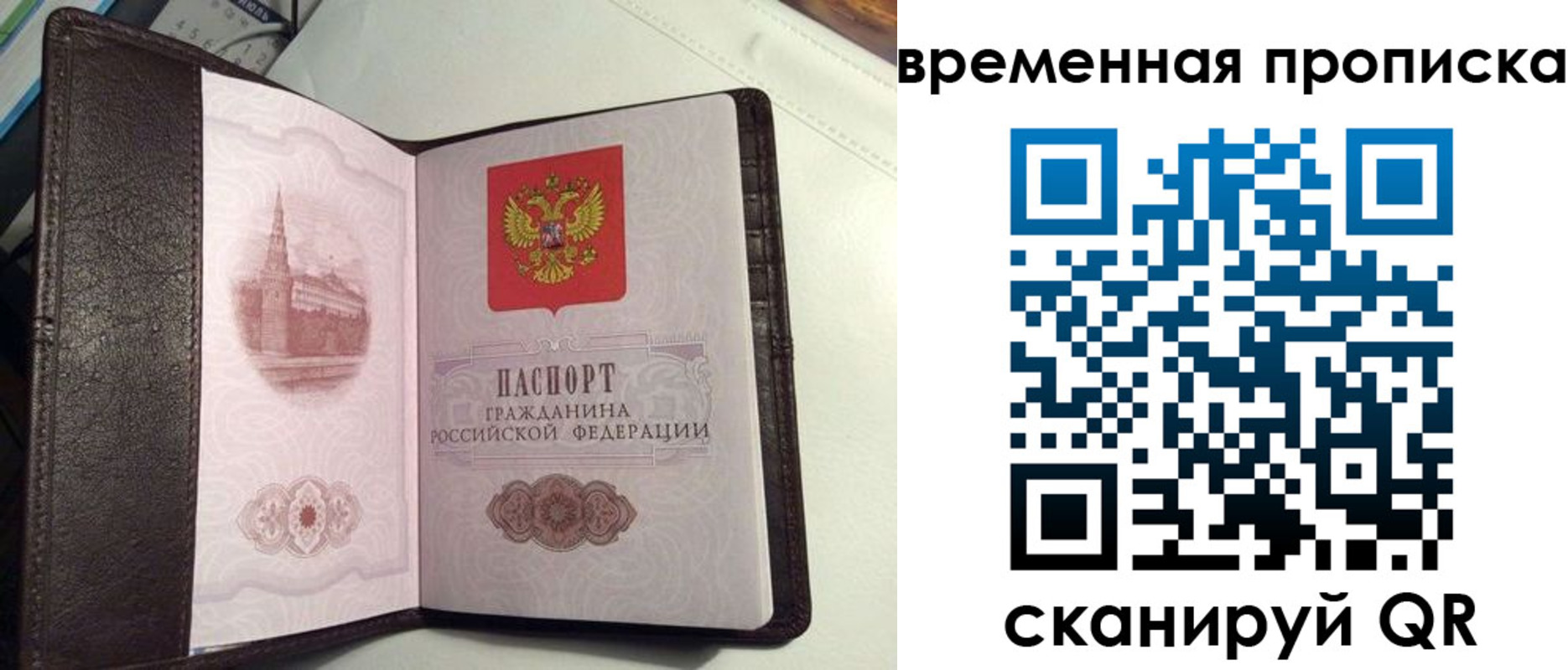 прописка 2025 в Долгопрудном
